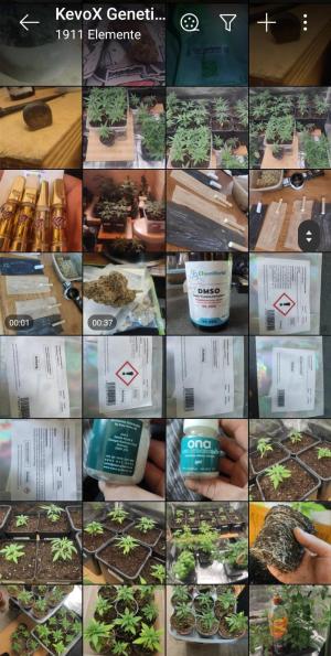 Comment by KevoX_Genetics photo #1