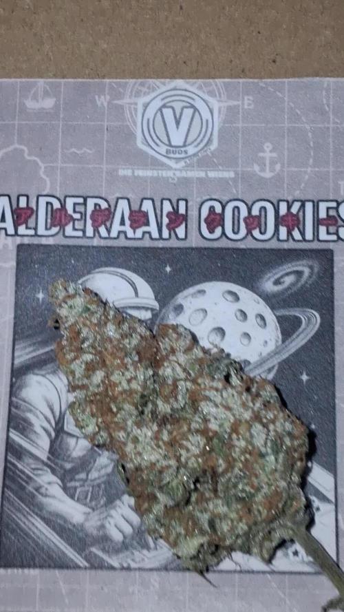 Alderaan Cookies Automatic from V-Buds
