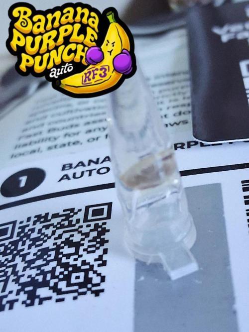 Banana Purple Punch Auto RF3 Fastbuds. Week 0