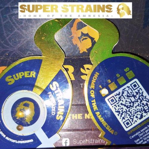 Super Strains Do-Si-Dos Auto & Hy-Pro. Week 0