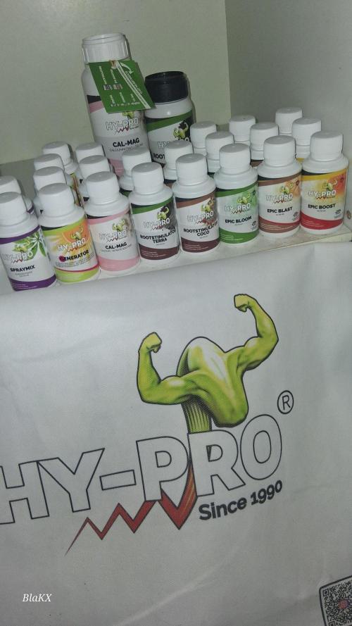 Super Strains Do-Si-Dos Auto & Hy-Pro. Week 0