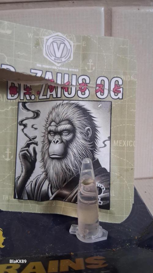 Auto | Dr. Zaius OG from V-Buds. Week 0