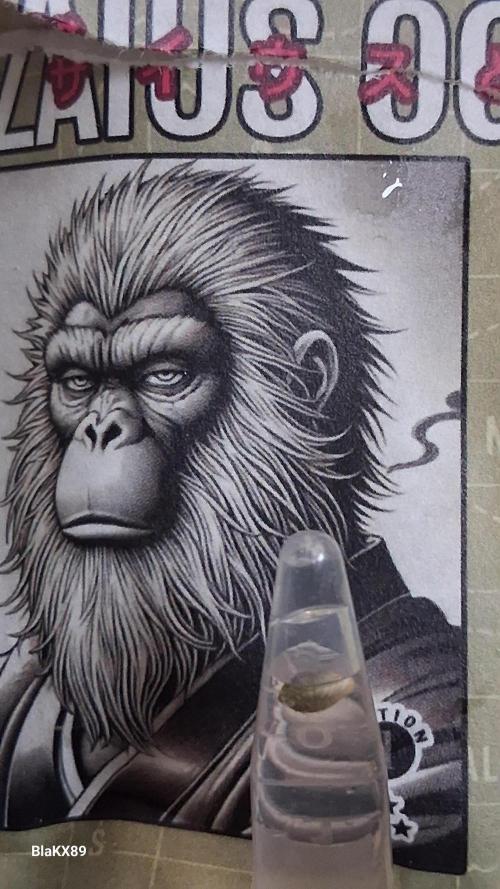 Auto | Dr. Zaius OG from V-Buds. Week 0