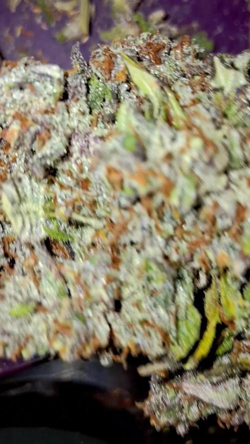 Banana Purple Punch Auto RF3 Fastbuds