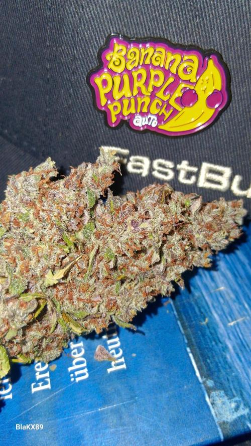 Banana Purple Punch Auto RF3 Fastbuds. Week 10