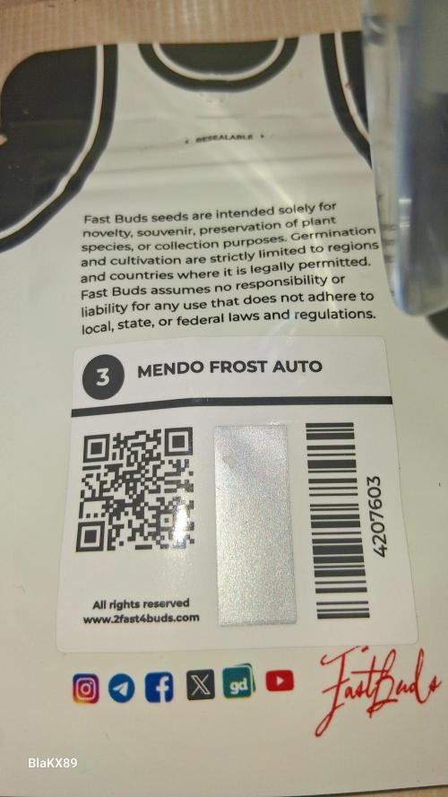 Mendo Frost Auto ❄️ 🏆. Week 0
