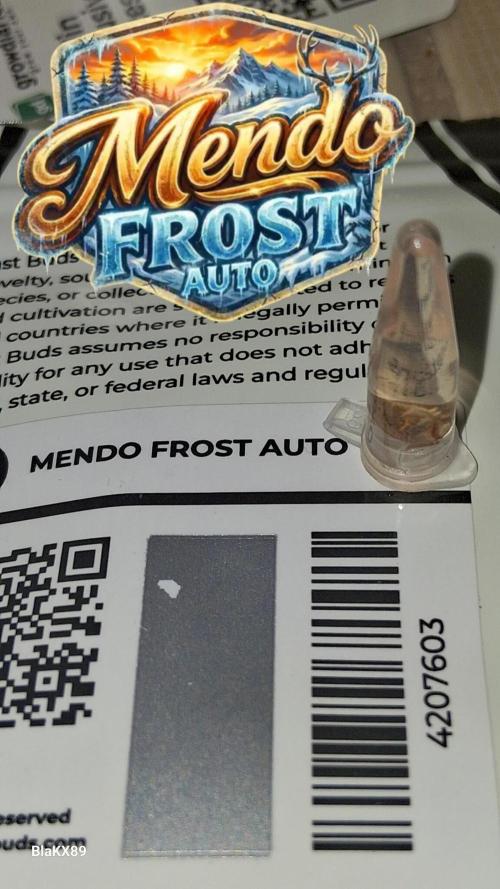 Mendo Frost Auto ❄️ 🏆. Week 0