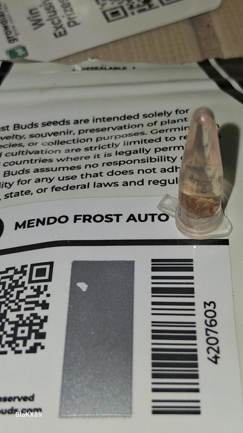 Mendo Frost Auto ❄️ 🏆. Week 0
