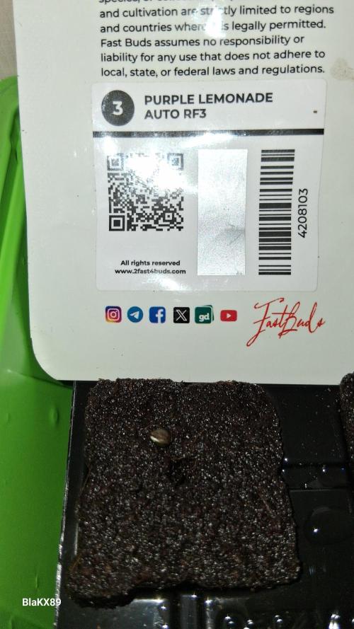 Purple Lemonade Auto RF3 😈🥤3️⃣. Week 0