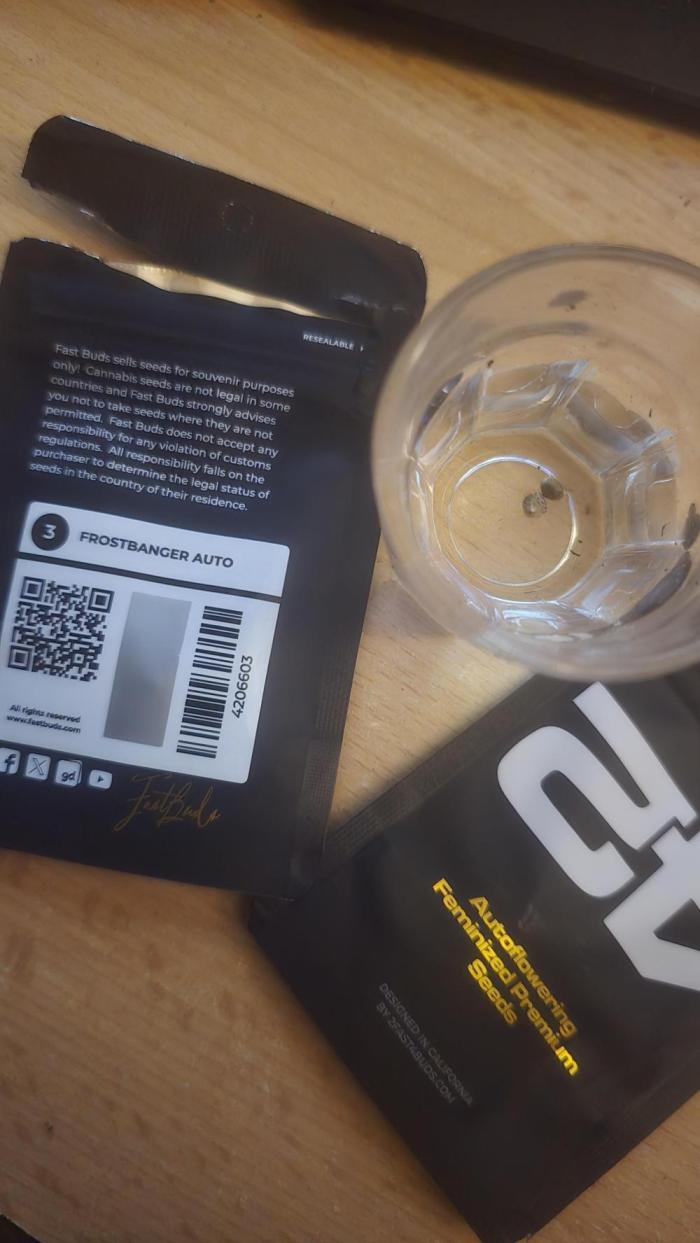 Frostbanger Auto. Week 0