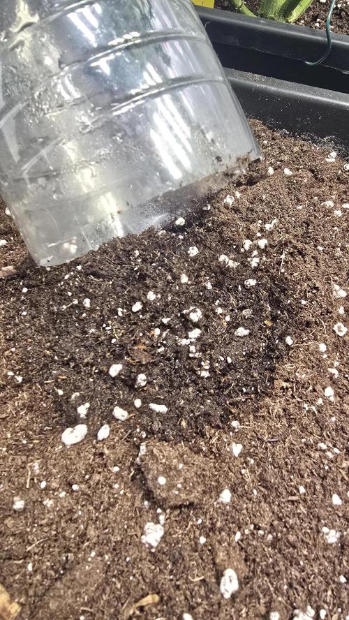 Frostbanger Auto. Week 0