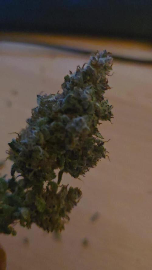 Banana Purple Punch RF3 Auto