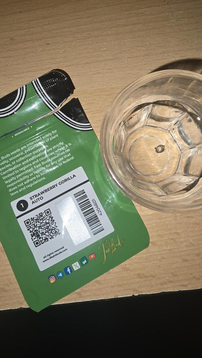 Strawberry Gorilla Auto. Week 0