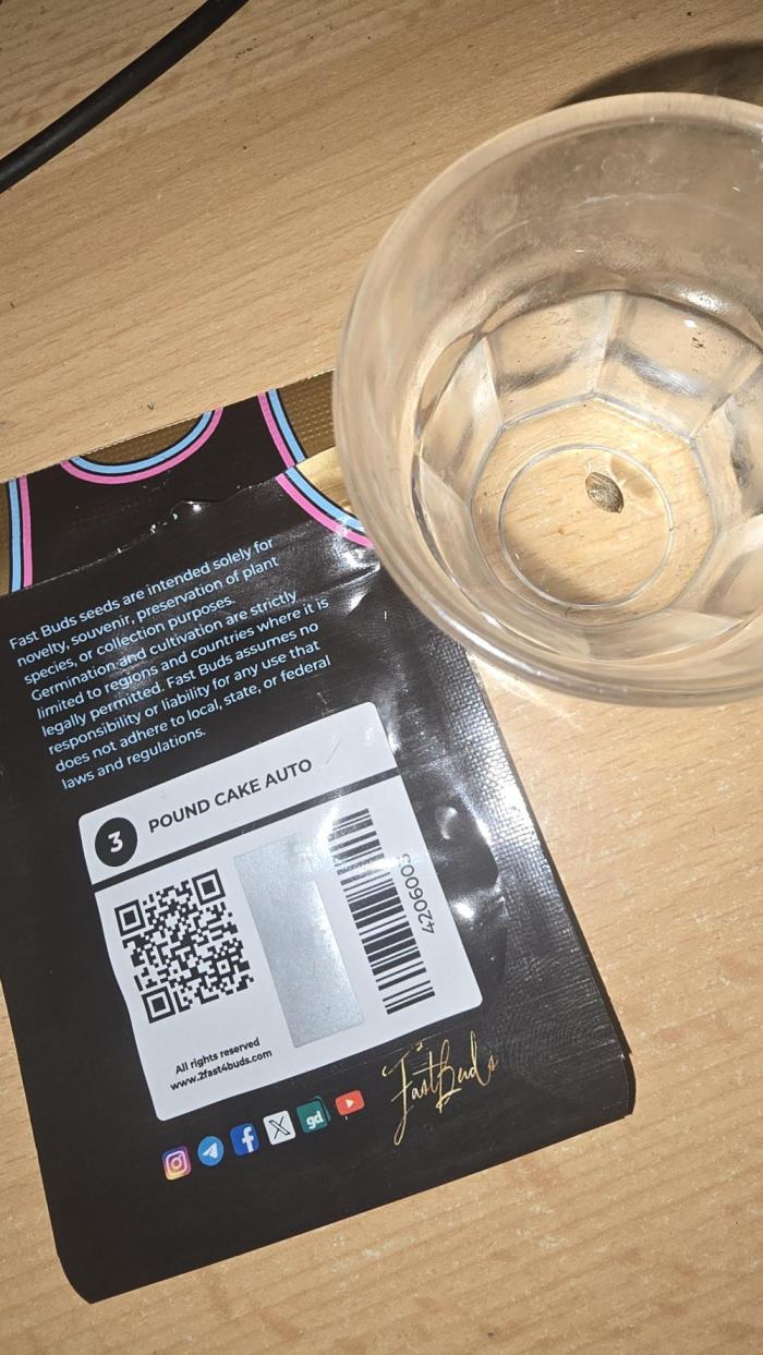 Pound Cake Auto. Week 0