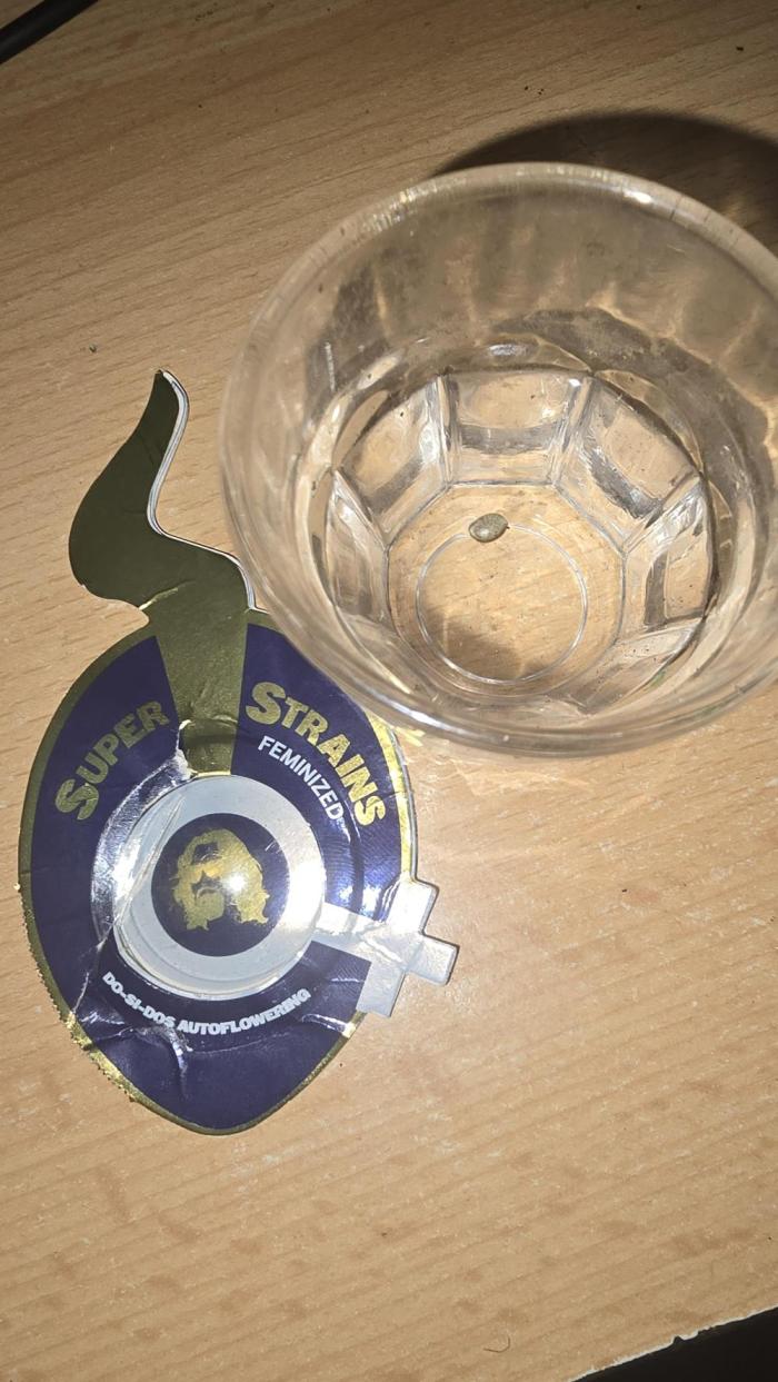 Do-Si-Dos Auto. Week 0