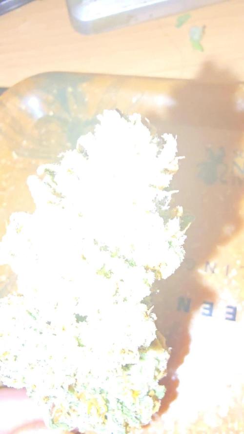 Z-Up Auto