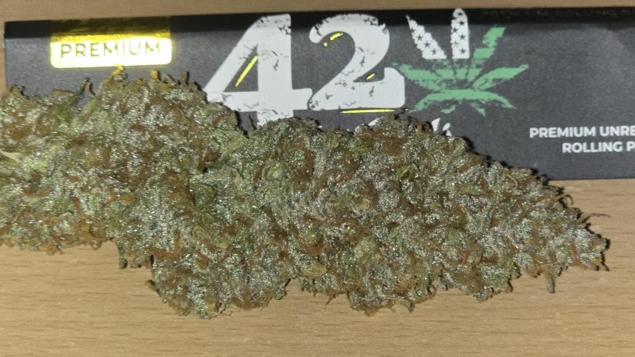 Frostbanger Auto. Week 12