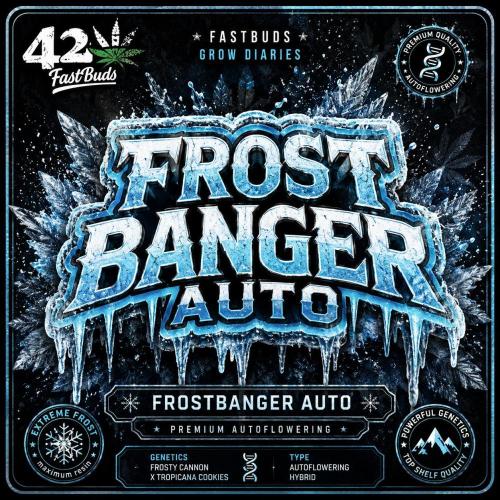 Frostbanger Auto. Week 12