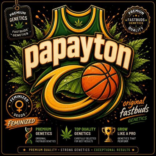 Papayton phenohunt. Week 0