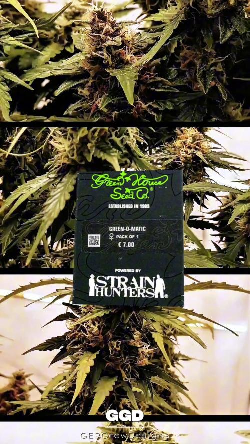 Twin Green-O-Matic LST