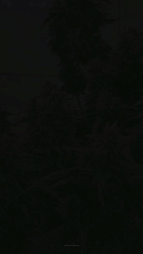 Twin Green-O-Matic LST