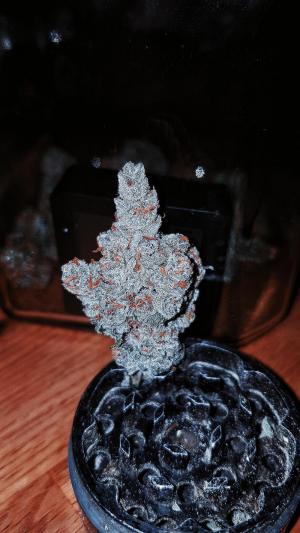 Comment by GERGrowDesigns photo #1