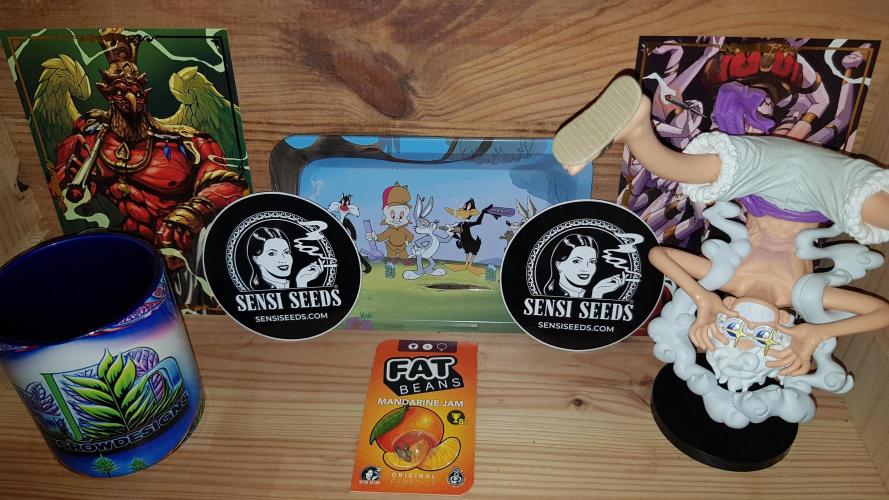 Fruity Dunk Shot. Week 0