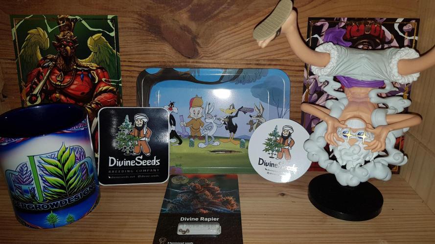 Ultimate Rapier Hunt. Week 0