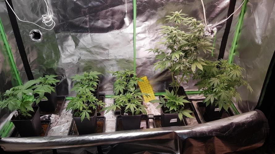 Crafting Ak47 #2. Week 3