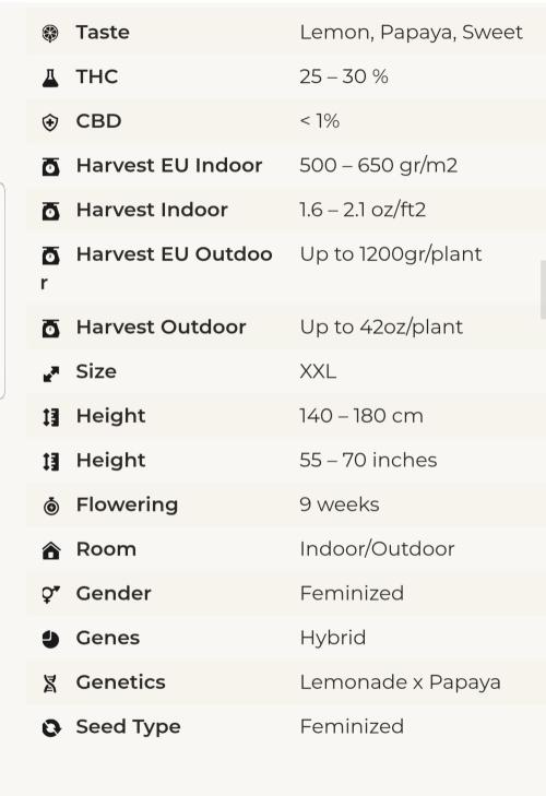 Fruity Fusion. Week 1