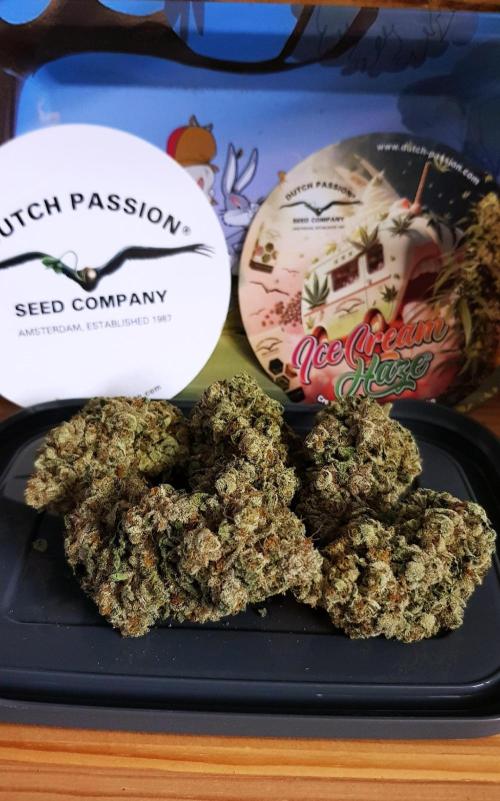 Dutch Passion Competition. Week 21