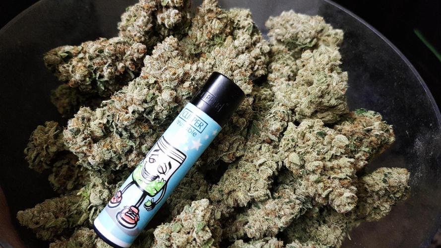 Dutch Passion Competition. Week 21