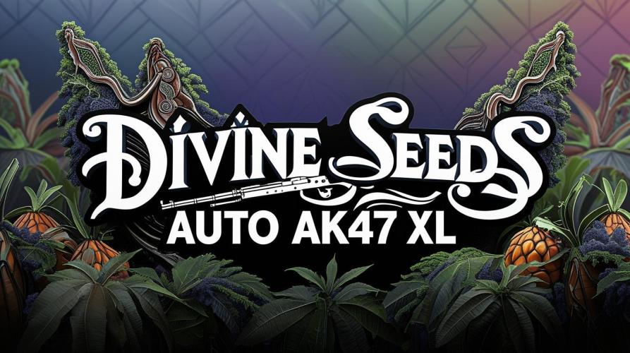 Kalashnikov hunt. Week 5