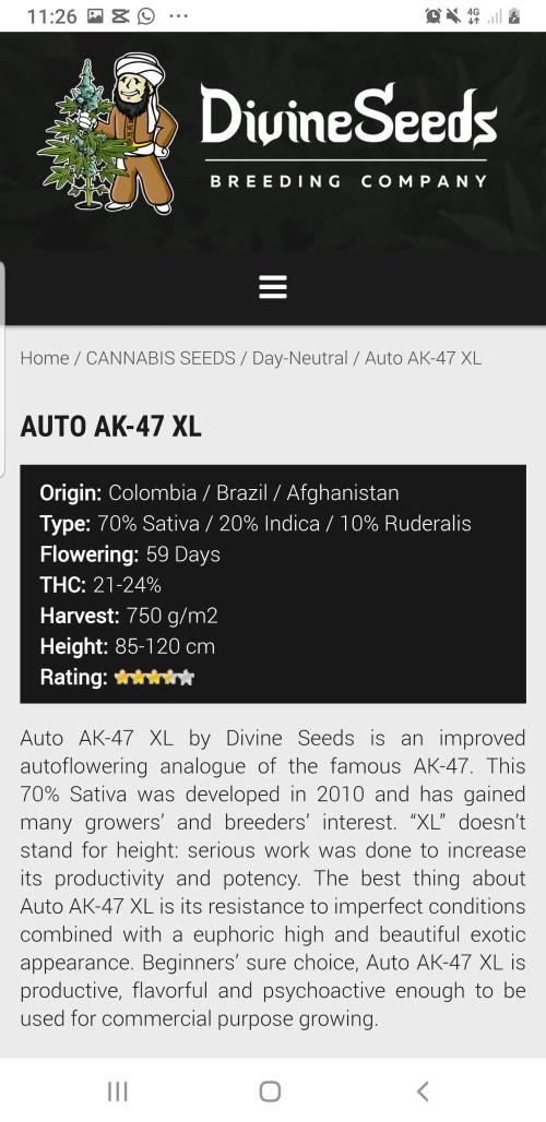 Kalashnikov hunt. Week 6