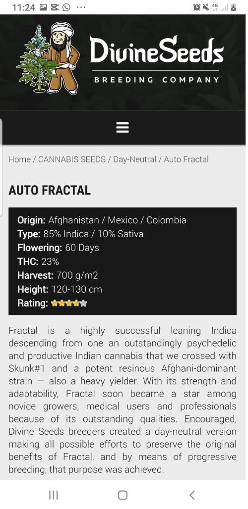 Fractal Collection #2. Week 6