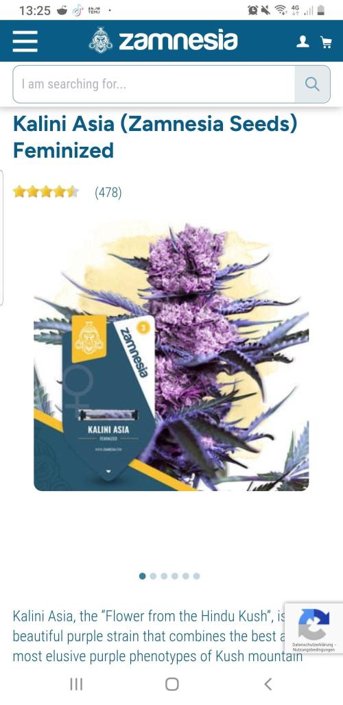 Expedition Asia. Week 4