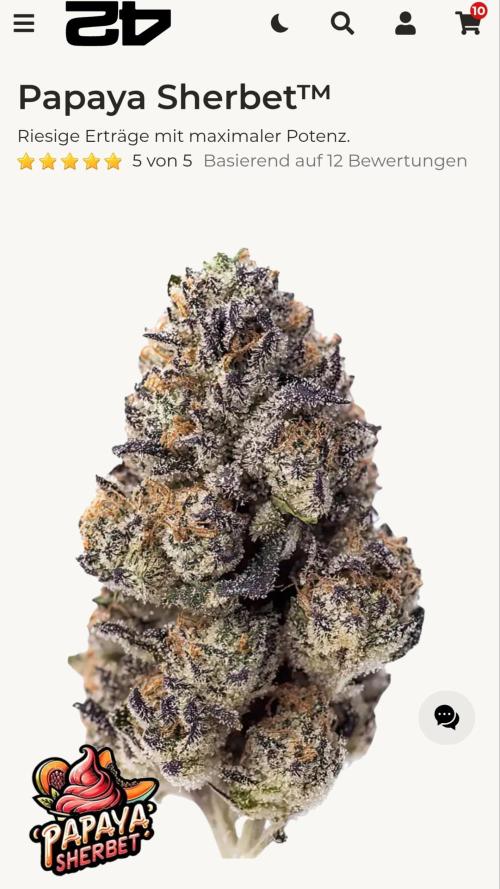 Sherbet with Paya. Week 5