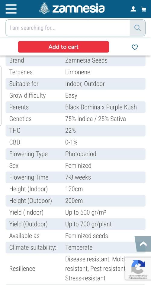 Expedition Asia. Week 7