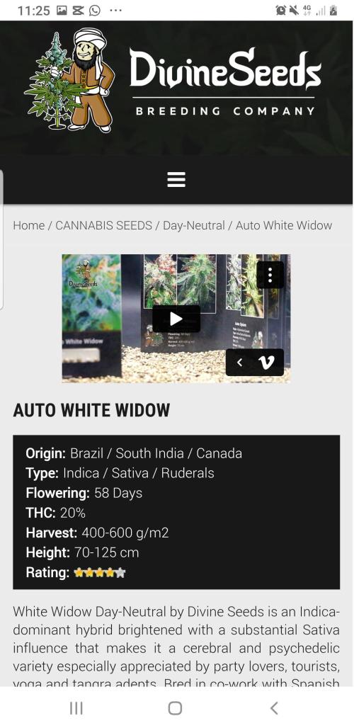 Widow Collection #2. Week 10