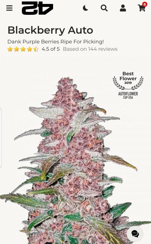 Hunting Berrys. Week 0