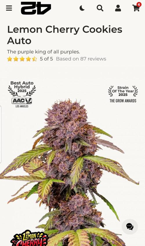 Fruity Cookies. Week 0