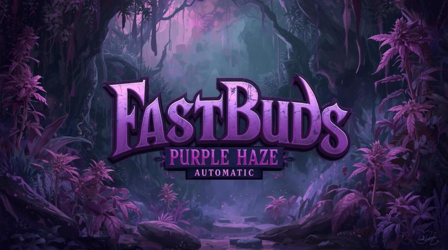 Haze goes Purple. Week 0