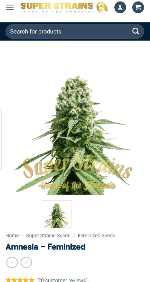 Home Of The Amnesia. Week 0