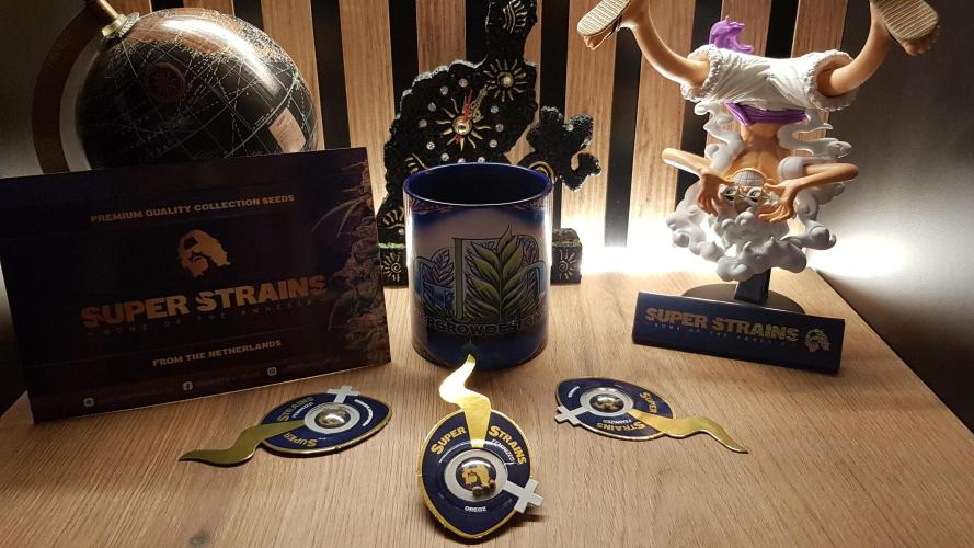 Forbiden Oreo. Week 0