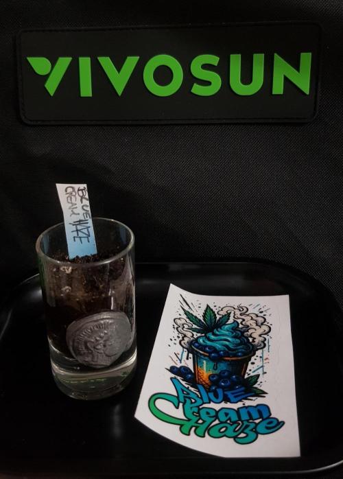 Breeding Special. Week 0