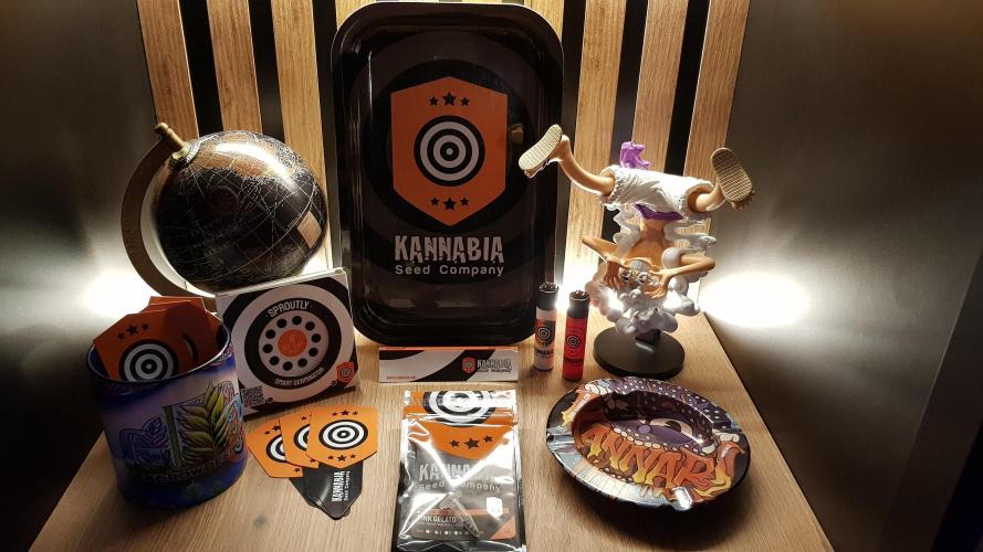 Gelato goes Pink. Week 0