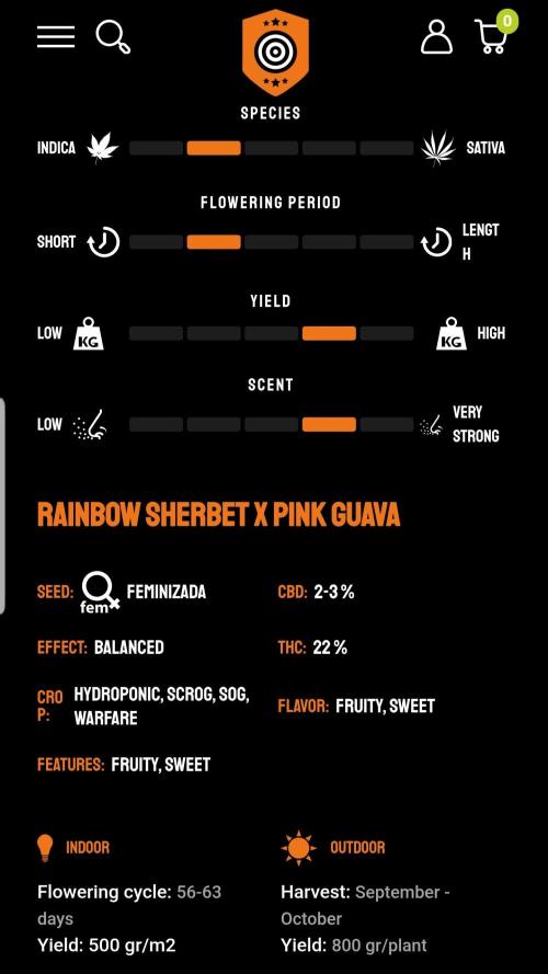 Rosé Meets Zoap. Week 0