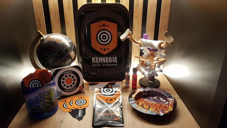 Rosé Meets Zoap. Week 0