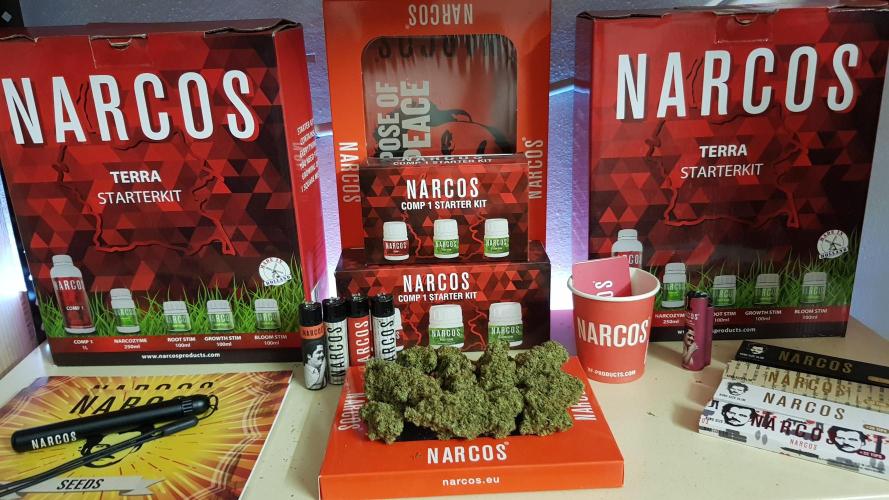 Narcos Seeds Kingping/pin Kush. Week 21