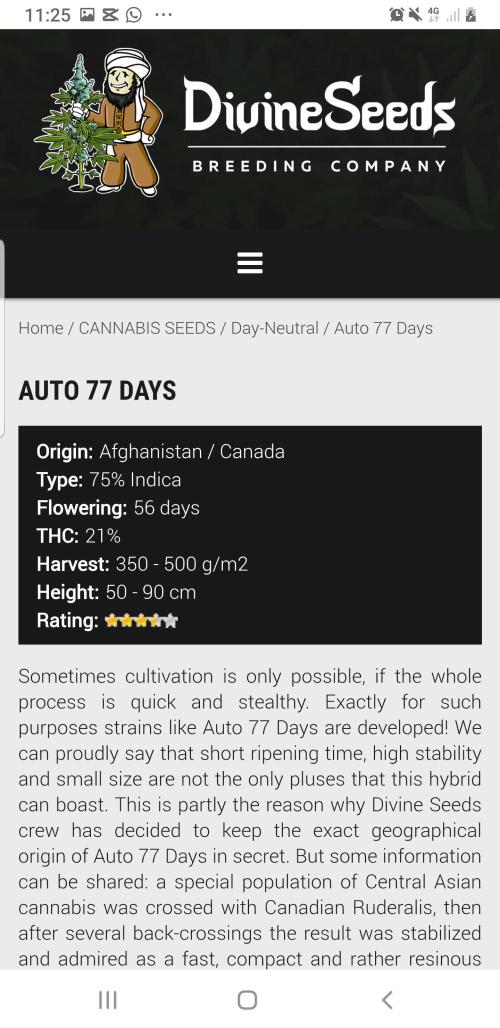 Day Counter. Week 11